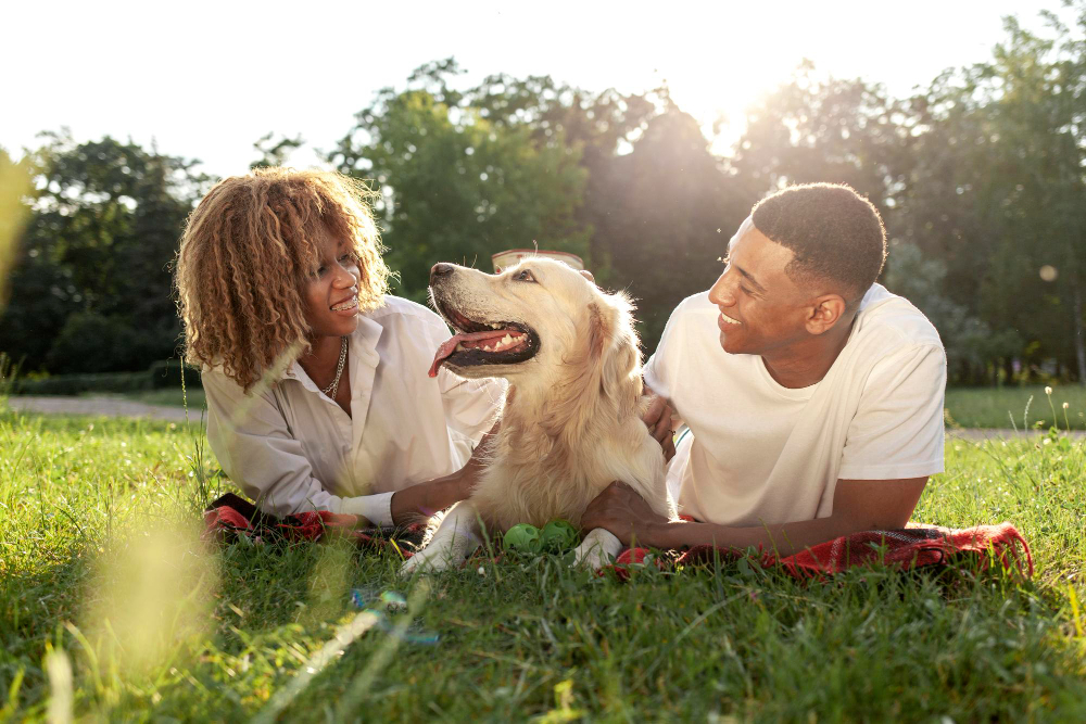 Dicas para Manter seu Pet Feliz e Saudável